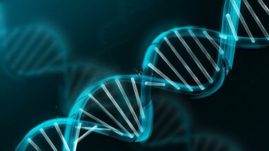 SAUDI GENOME PROGRAM